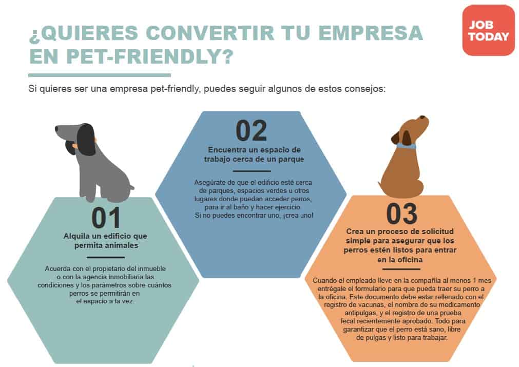 Como-ser-pet-friendly-muestra.jpg