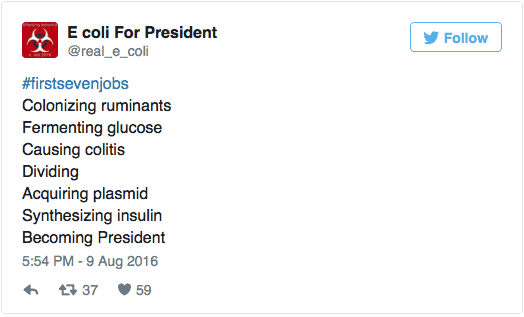 E-coli first seven jobs
