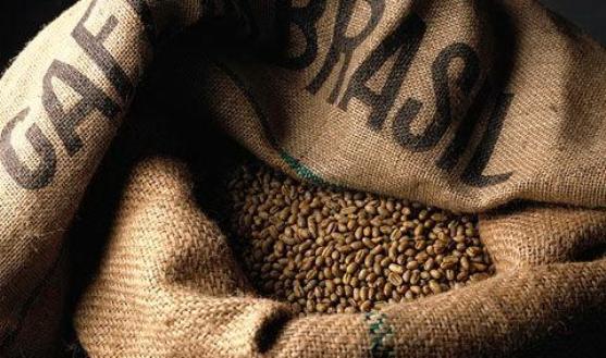 How my love for Arabica landed me a job as a Barista