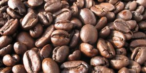 barista beans