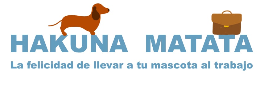 Conciliación animal: Convierte tu oficina en pet friendly