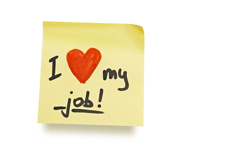 love your job