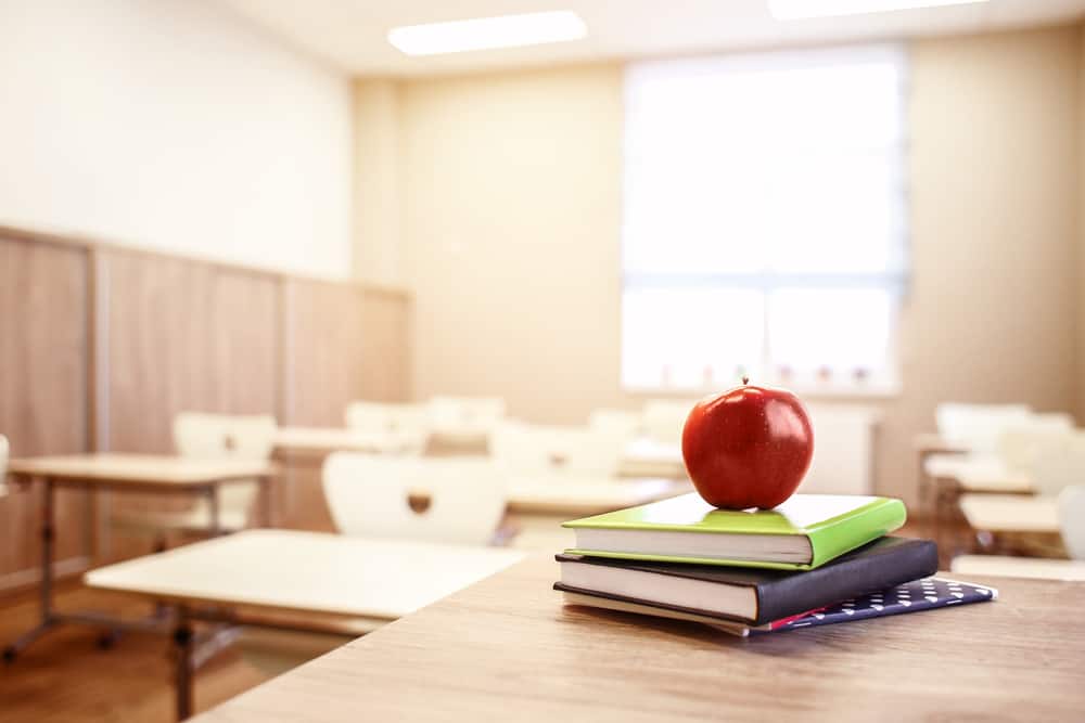Cómo empezar una carrera profesional en educacion primaria