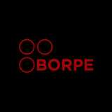 Borpe V. avatar icon