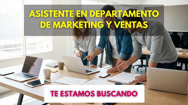 Assistent per al dept de ventes i marketing en e-commerce