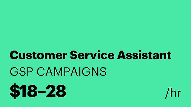 Customer Service Assistant