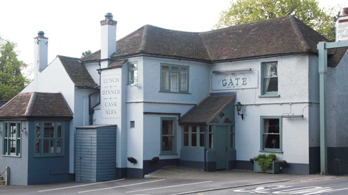The Gate cover image