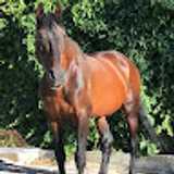 Eva Maria R. avatar icon