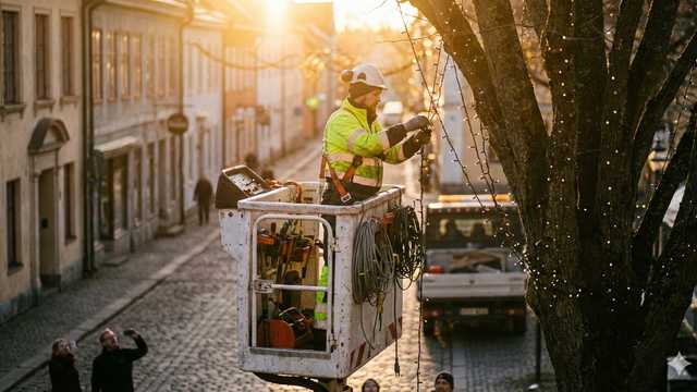 Montador Especialista