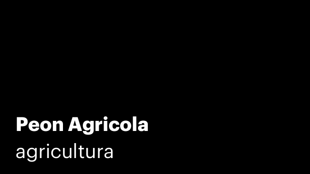 Peon Agricola