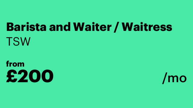 Barista and Waiter / Waitress