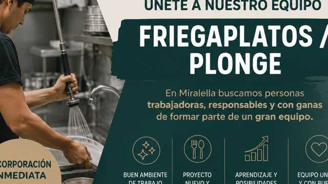 Friegaplatos