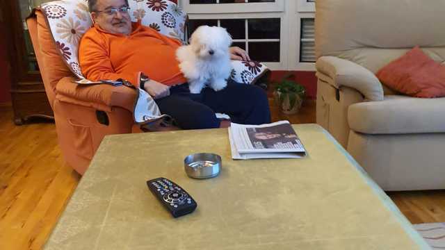 Ayudante/a de Limpieza