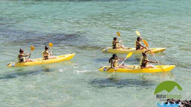 tecnico deportivo de piraguismo o kayak de mar