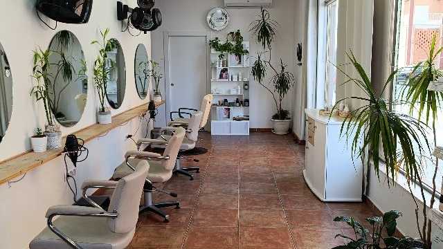 Oficial de Peluquería