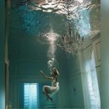 Daniela D. avatar icon