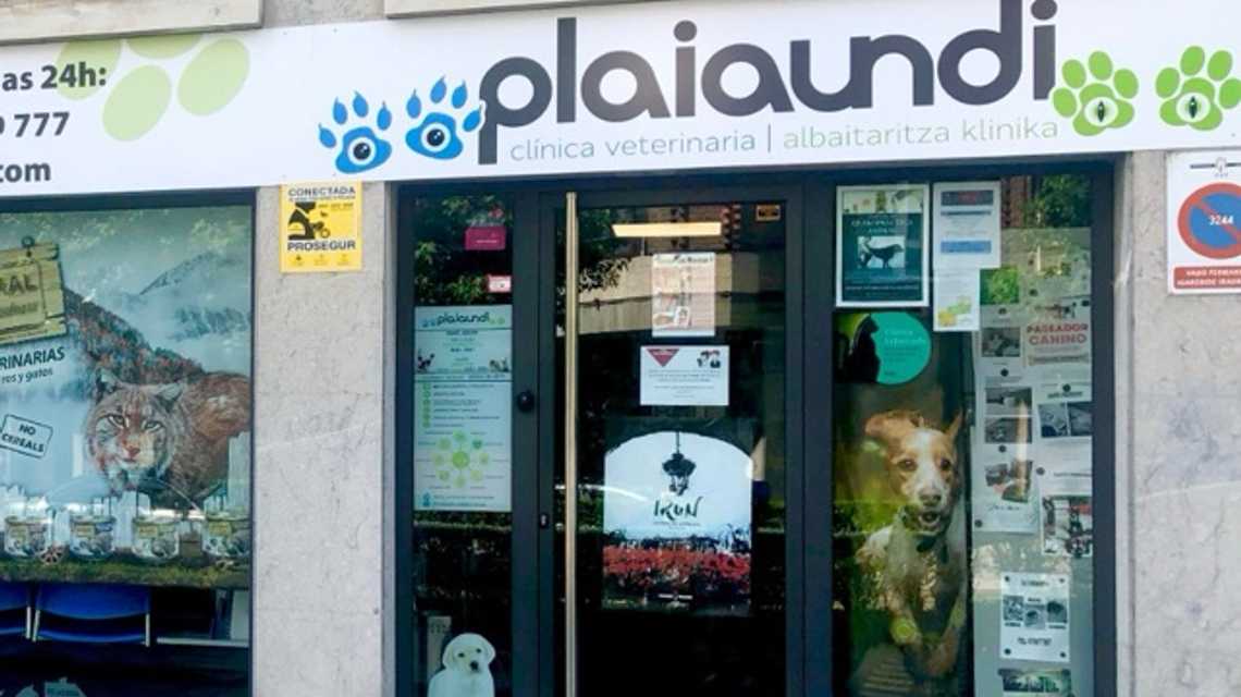 Clinica Veterinaria Plaiaundi cover image