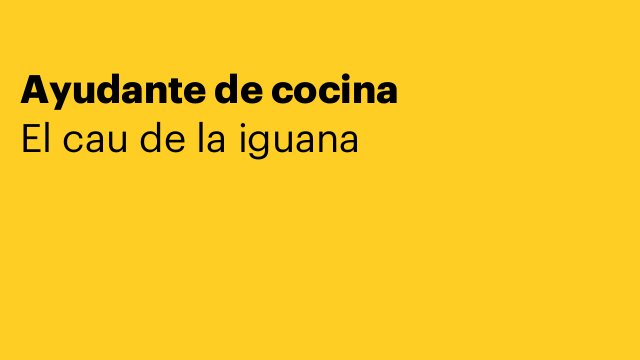 Ayudante de cocina