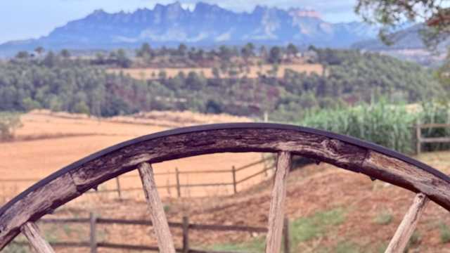 Camarero/a y Ayudante/a de Cocina