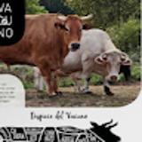 Daniel G. avatar icon