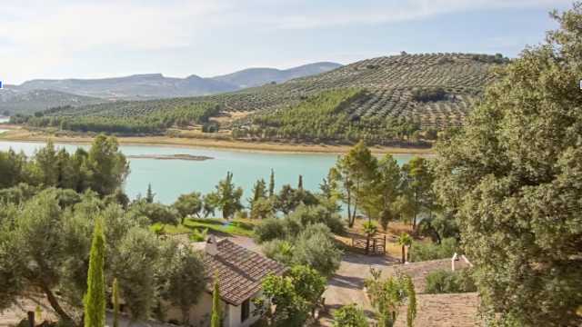 Gerente de restaurante / jefe/jefa de cocina