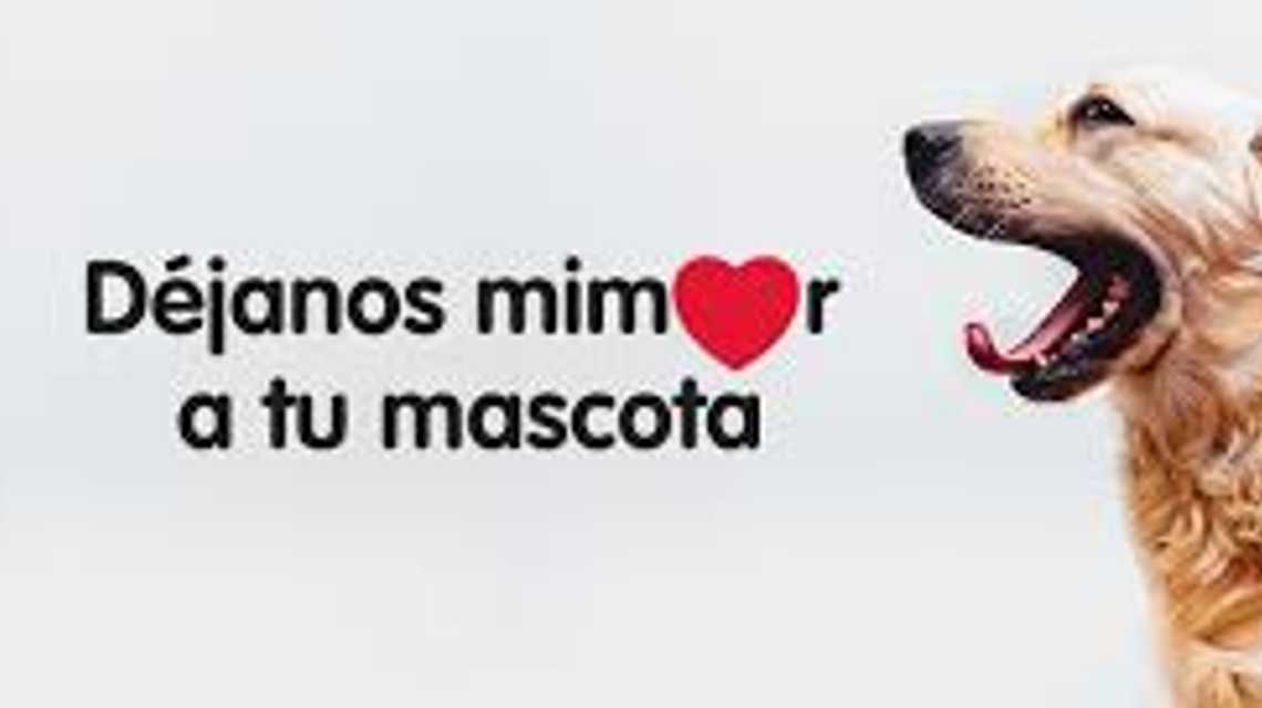 Terranovacnc Franquicias SL cover image