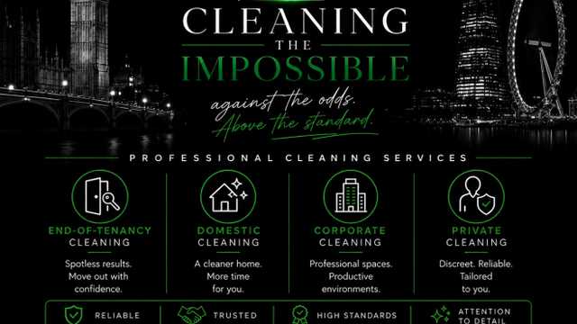 Cleaner
