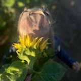 carisa P. avatar icon