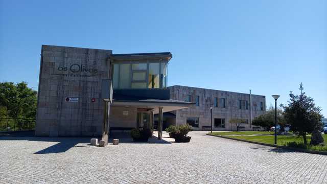 Auxiliar de Enfermería