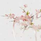 满 月. avatar icon