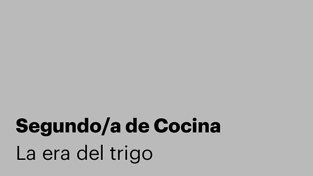 Segundo/a de Cocina