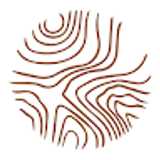 nossa C. avatar icon