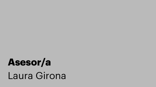 Asesor/a