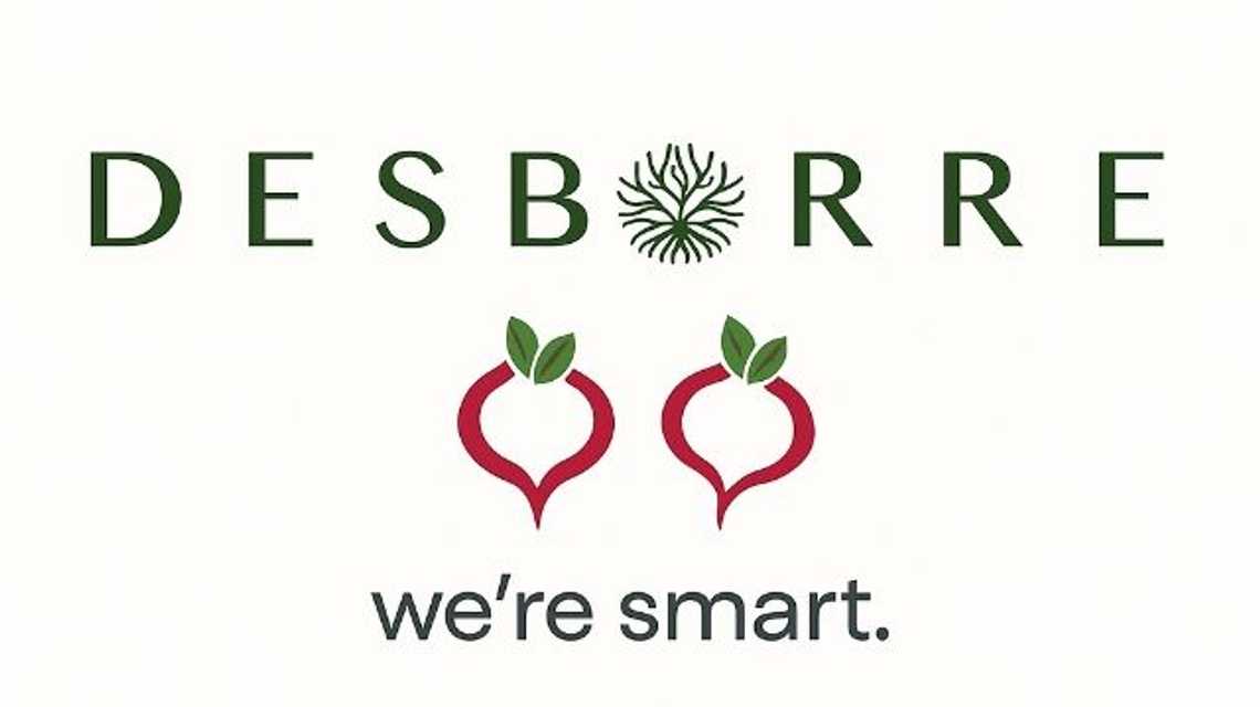 Desborre cover image