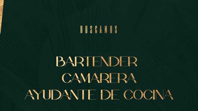 Camarero/a y Coctelero/a