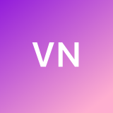 Vicent N. avatar icon