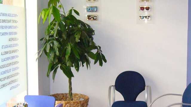 Recepcionista/administrativa en Centre de Psicologia del barri de Gràcia