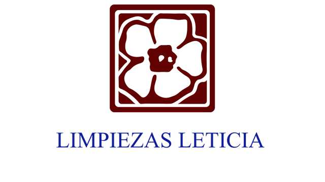 Limpiador/a