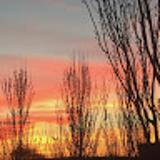 Tanya A. avatar icon