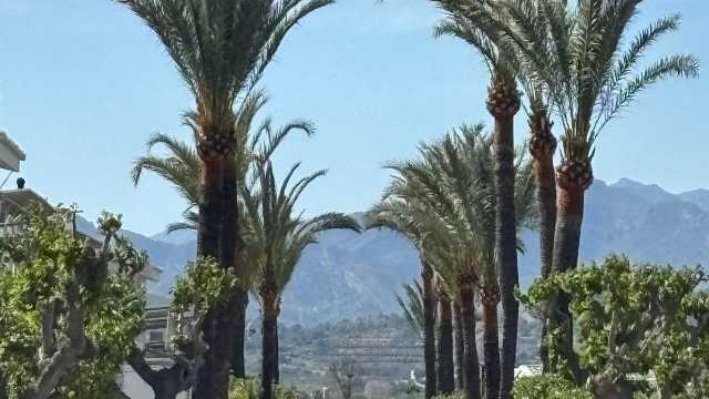 Ayudante/a de Mantenimiento