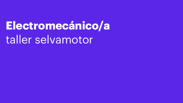 Electromecánico/a