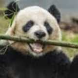 jianfeng C. avatar icon