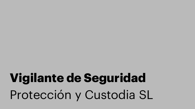 Vigilante de Seguridad