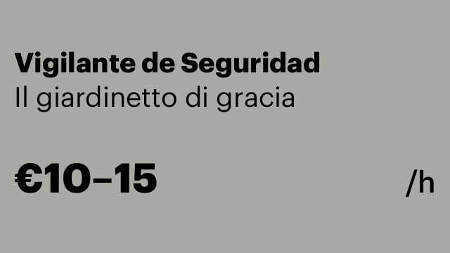 Vigilante de Seguridad