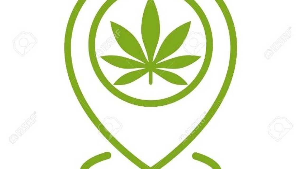 CBD STORE cover image