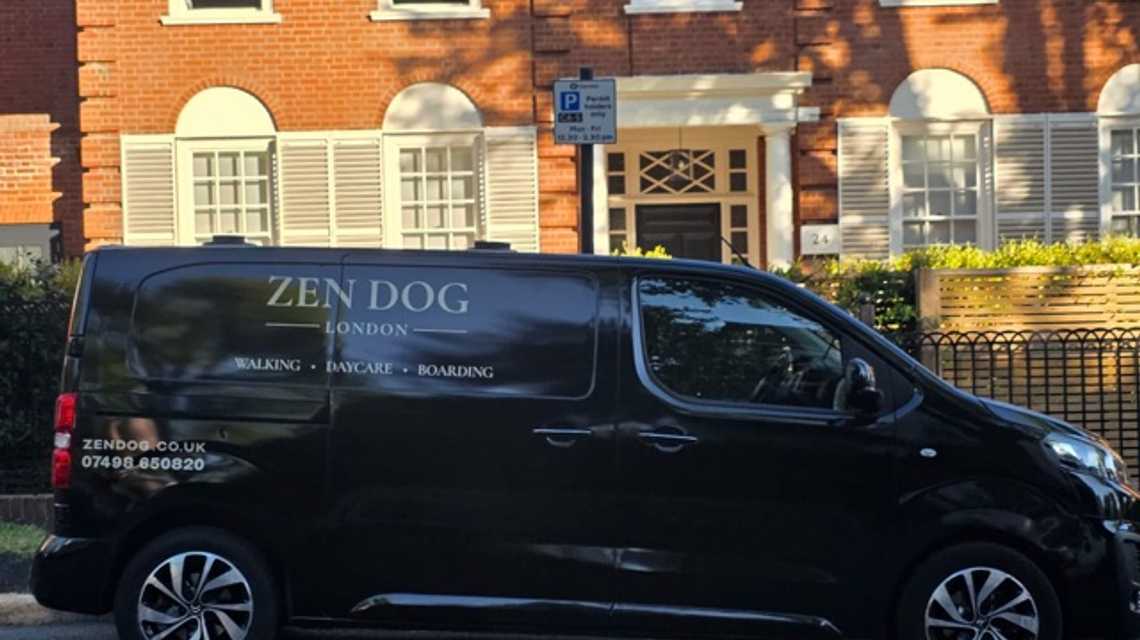 Zen Dog London  cover image