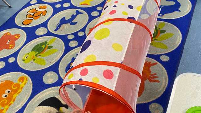 Nursery Practitioner