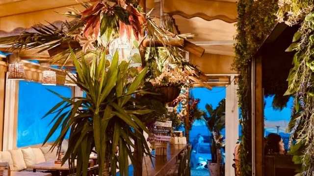 Camarero/a y Cocinero/a