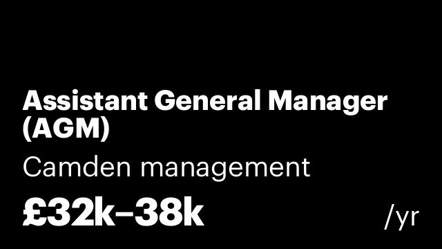 Assistant General Manager (AGM)