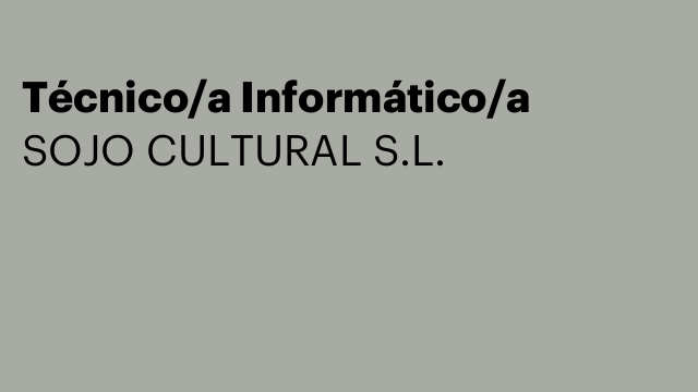 Técnico/a Informático/a